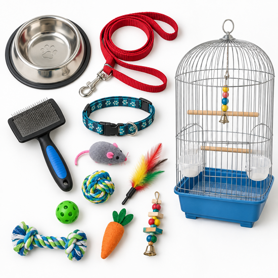 Pet