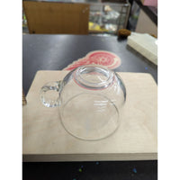 Starbucks Holiday 17 Oz Clear Glass Mug With Etched Tree Design