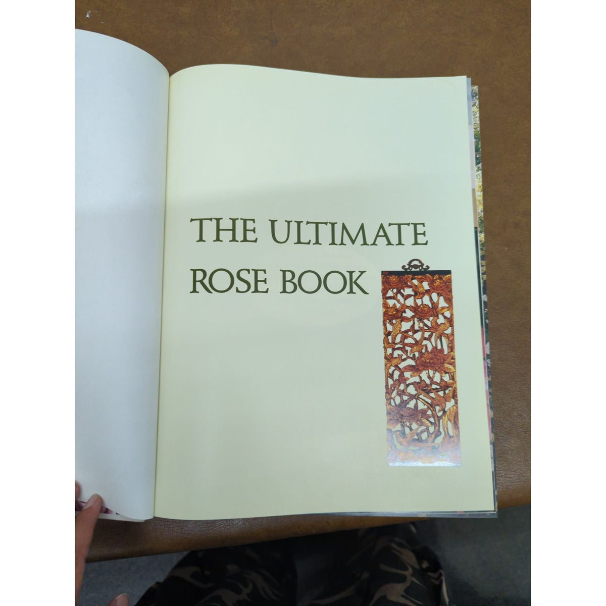 The Ultimate Rose Book By Stirling Macoboy Hardcover With Floral Photos 1500 Rose Varieties Published By Harry Abrams