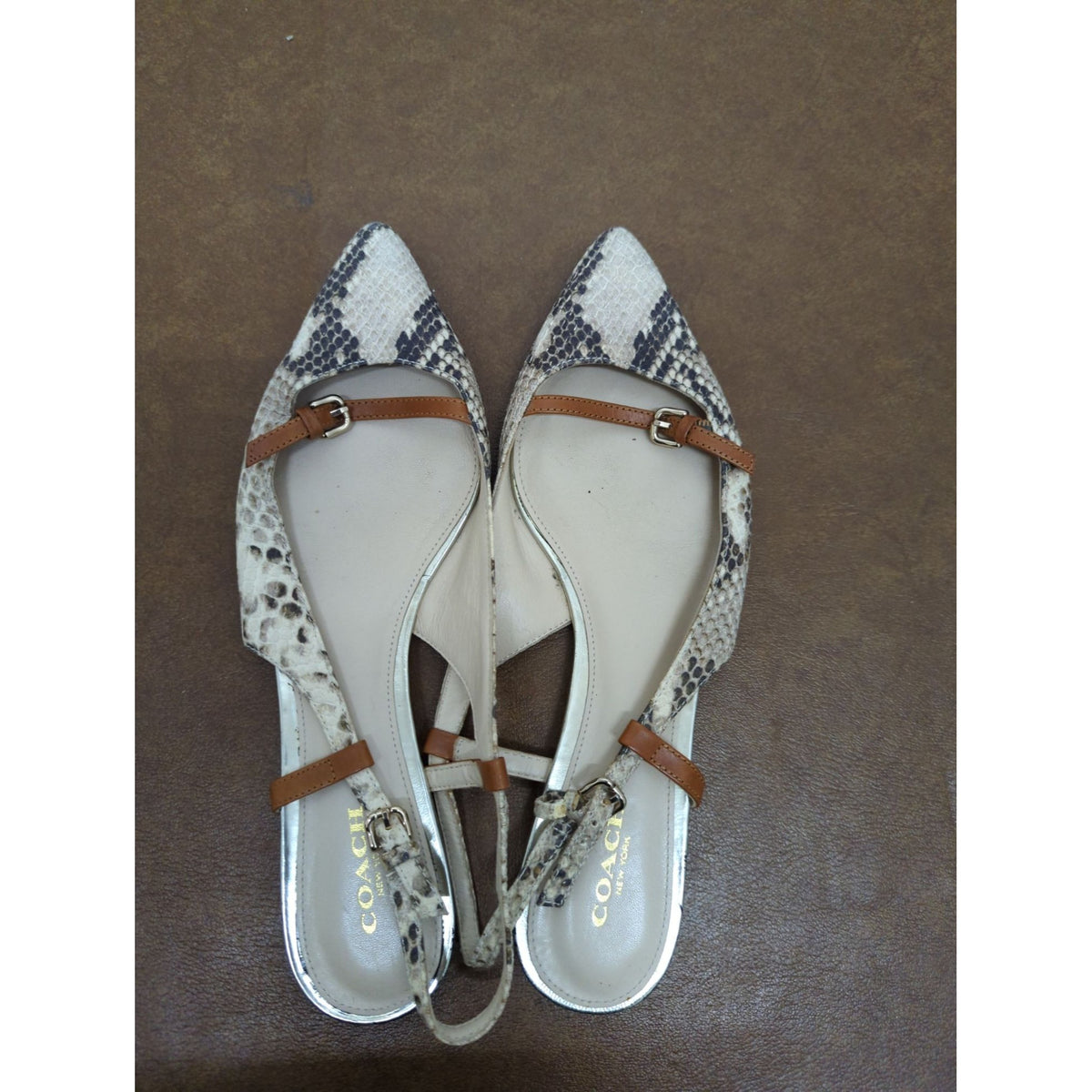 Coach Womens Snakeskin Print Leather Flat Sandals With Adjustable Straps Size 8B