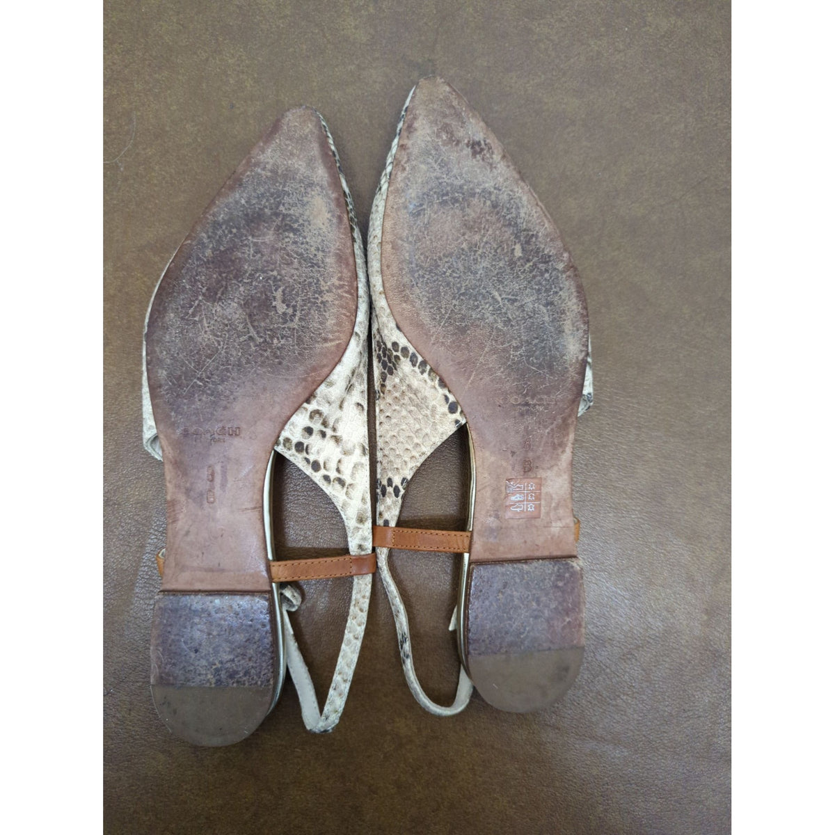 Coach Womens Snakeskin Print Leather Flat Sandals With Adjustable Straps Size 8B