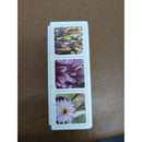 OuiSi Connecting Photo Cards 210 Cards With Games & Activities For Creativity Ages 4+ 1-8 Players