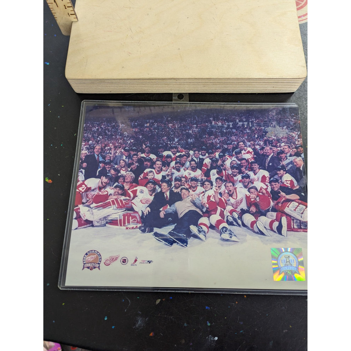 2002 Detroit Red Wings Stanley Cup Champions Team Photo With Holographic Seal NHLPA Licensed