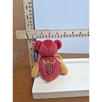 Limited Treasures Pro Bear Jerry Rice 49ers Plush Toy
